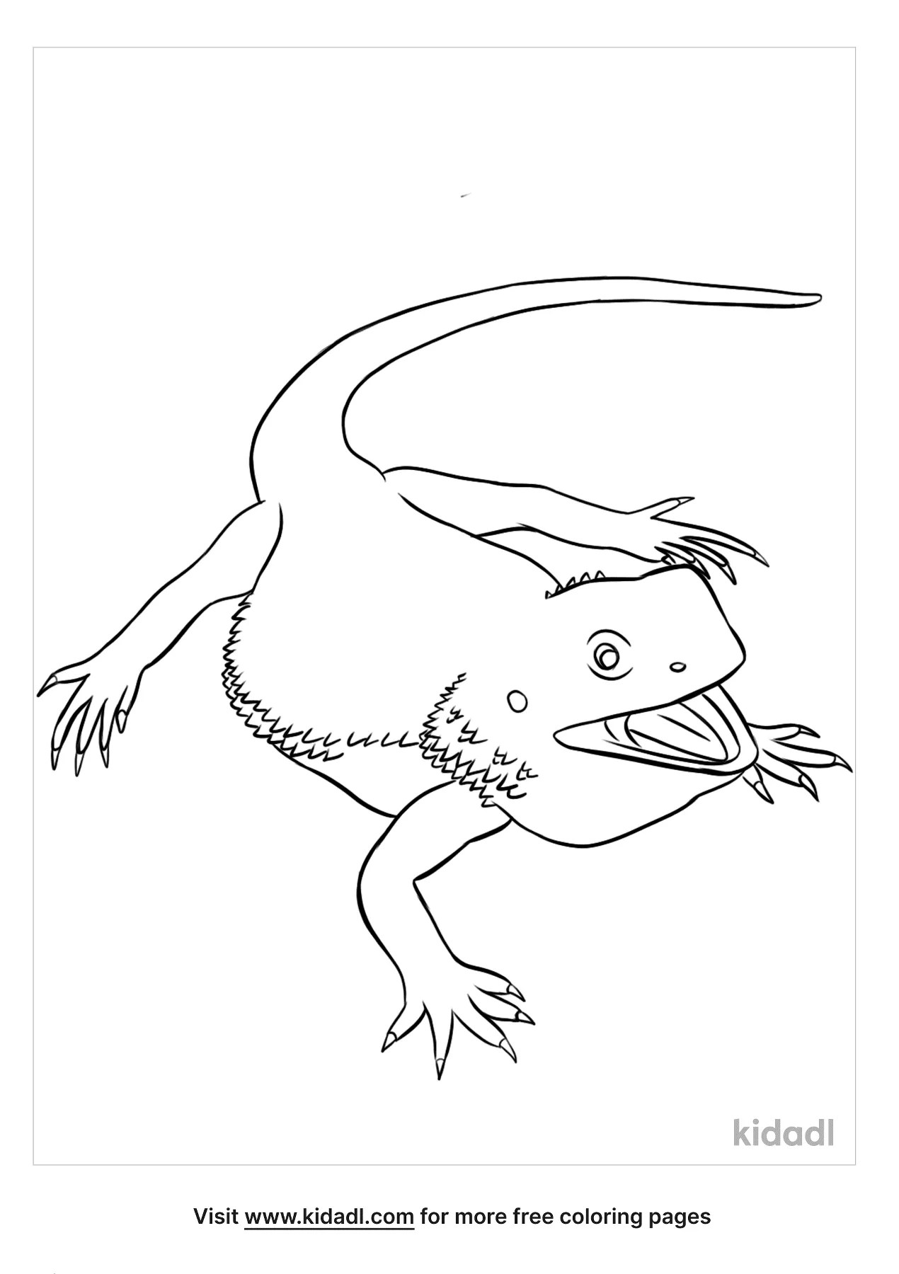 curious bearded dragon coloring page printable jpg