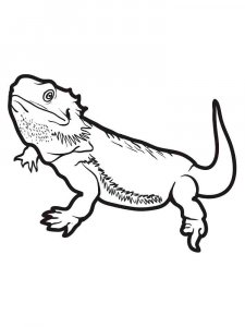 curious bearded dragon coloring page printable jpg