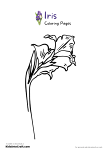 34 Iris Coloring Pages Printable 13