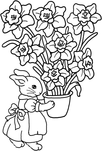 34 Iris Coloring Pages Printable 19