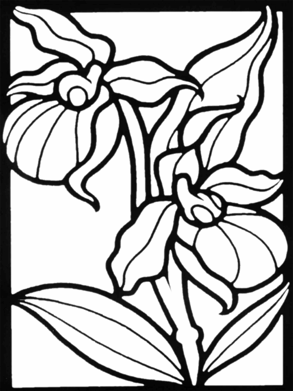 34 Iris Coloring Pages Printable 20