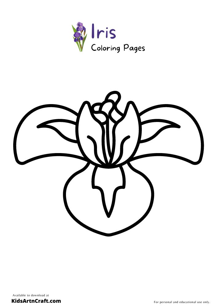 iris coloring pages printable jpg