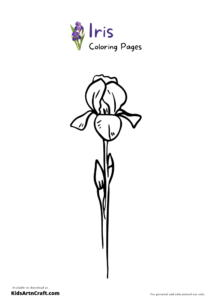 34 Iris Coloring Pages Printable 29