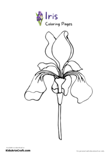 34 Iris Coloring Pages Printable 4