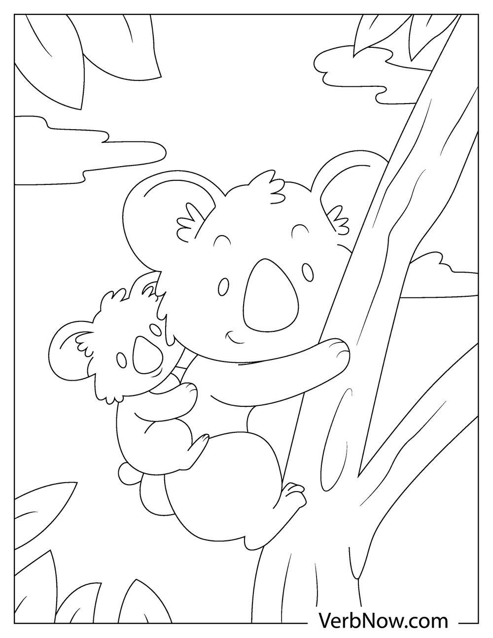 34 Koala Coloring Pages Printable 13