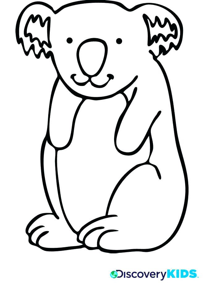 34 Koala Coloring Pages Printable 16