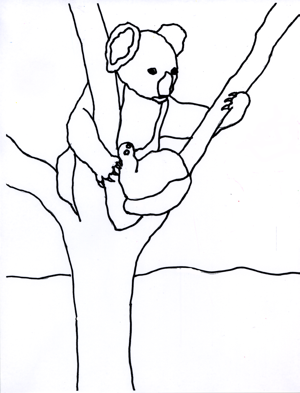 34 Koala Coloring Pages Printable 18