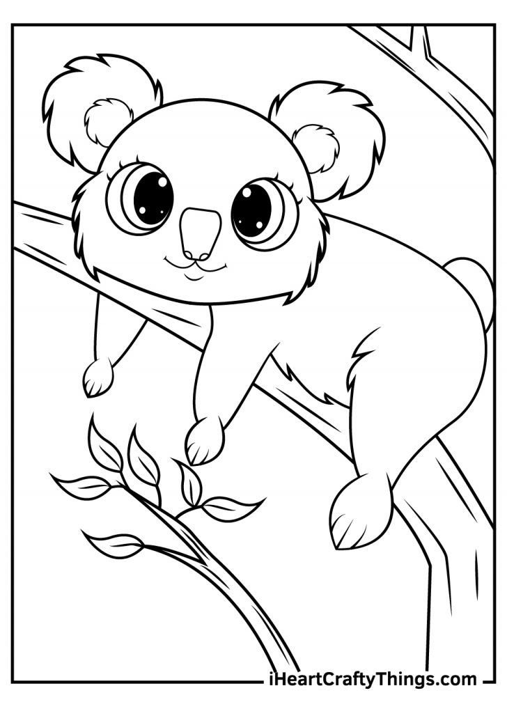 34 Koala Coloring Pages Printable 2