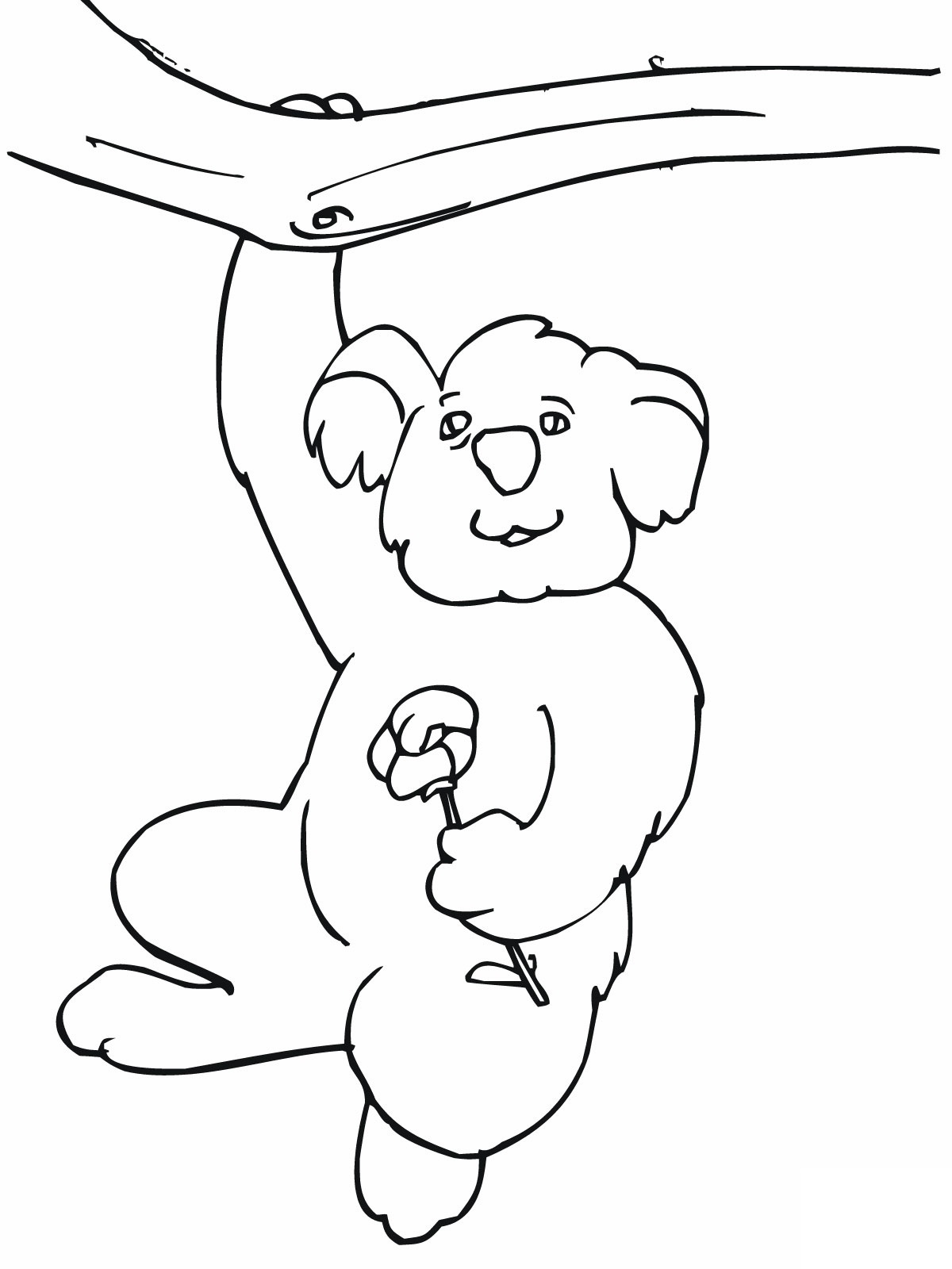 34 Koala Coloring Pages Printable 20