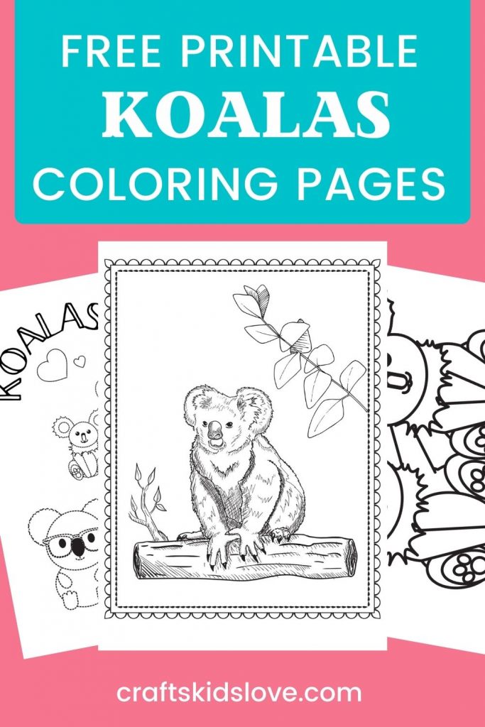 koala coloring pages printable jpg