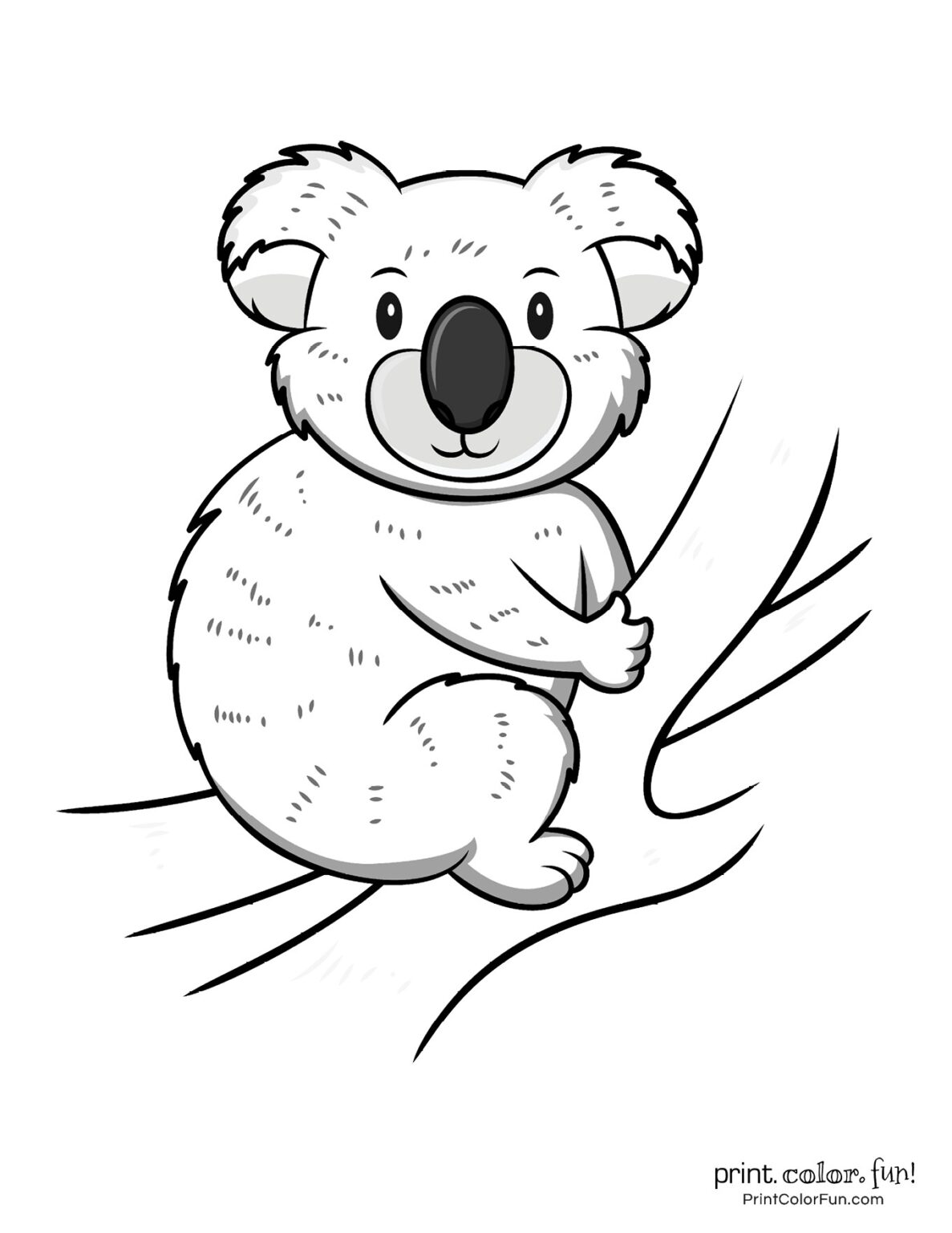 koala coloring pages printable jpg