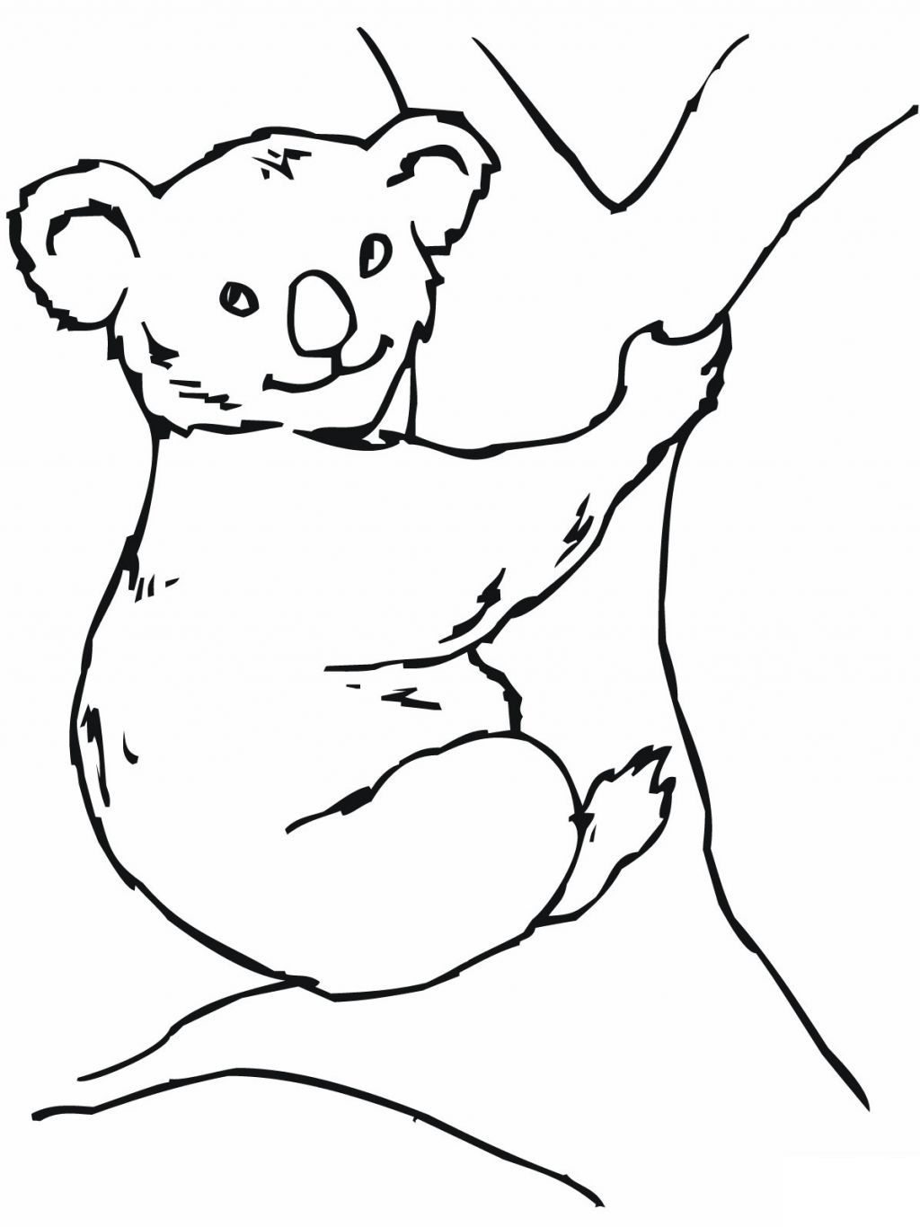 koala coloring pages printable jpg