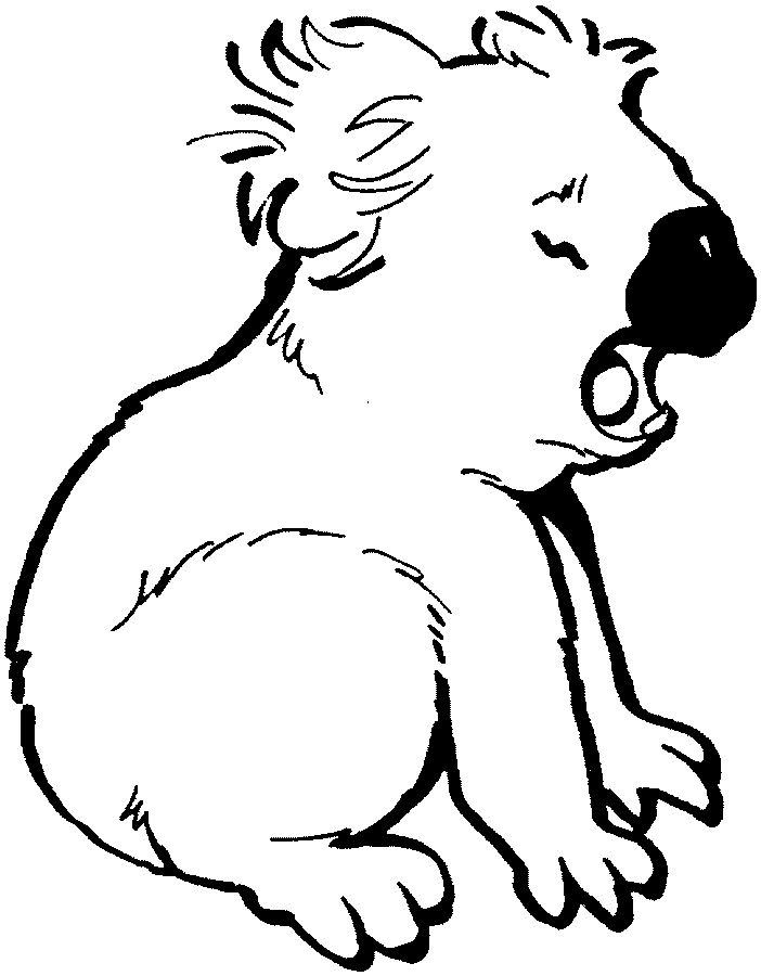 koala coloring pages printable jpg