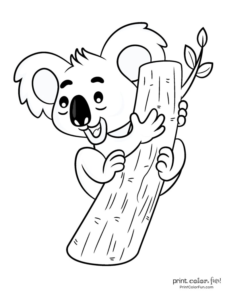 34 Koala Coloring Pages Printable 32