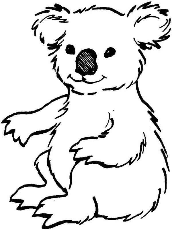 34 Koala Coloring Pages Printable 34