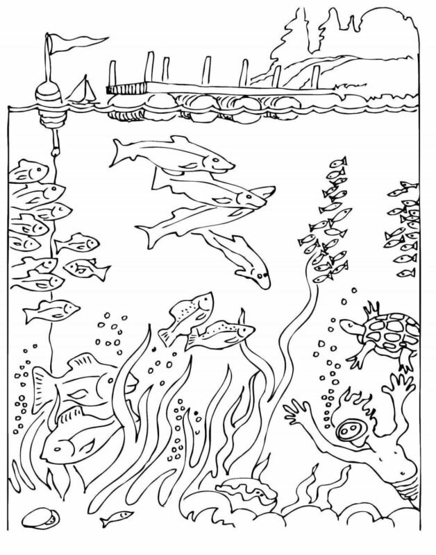 scuba diving coloring pages printable jpg