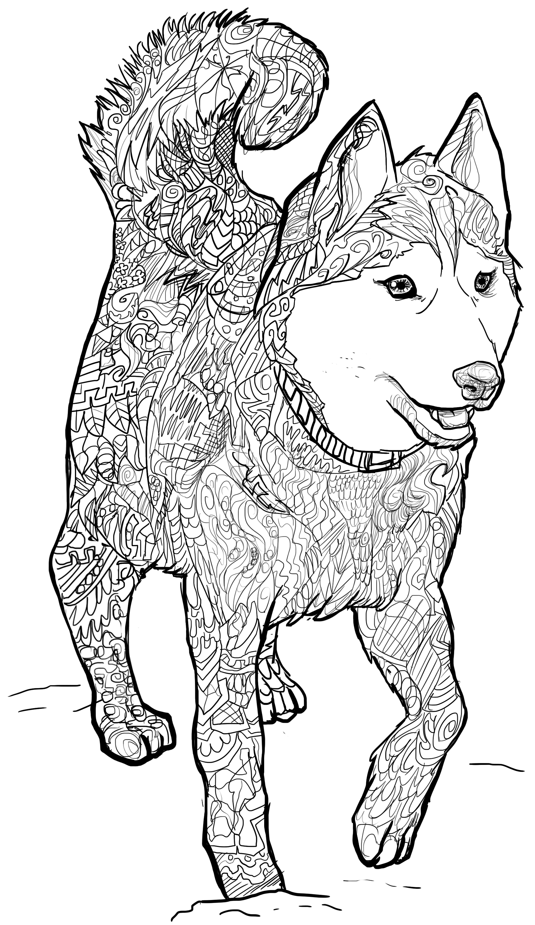 friendly husky coloring pages printable jpg