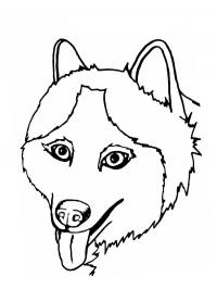 friendly husky coloring pages printable jpg