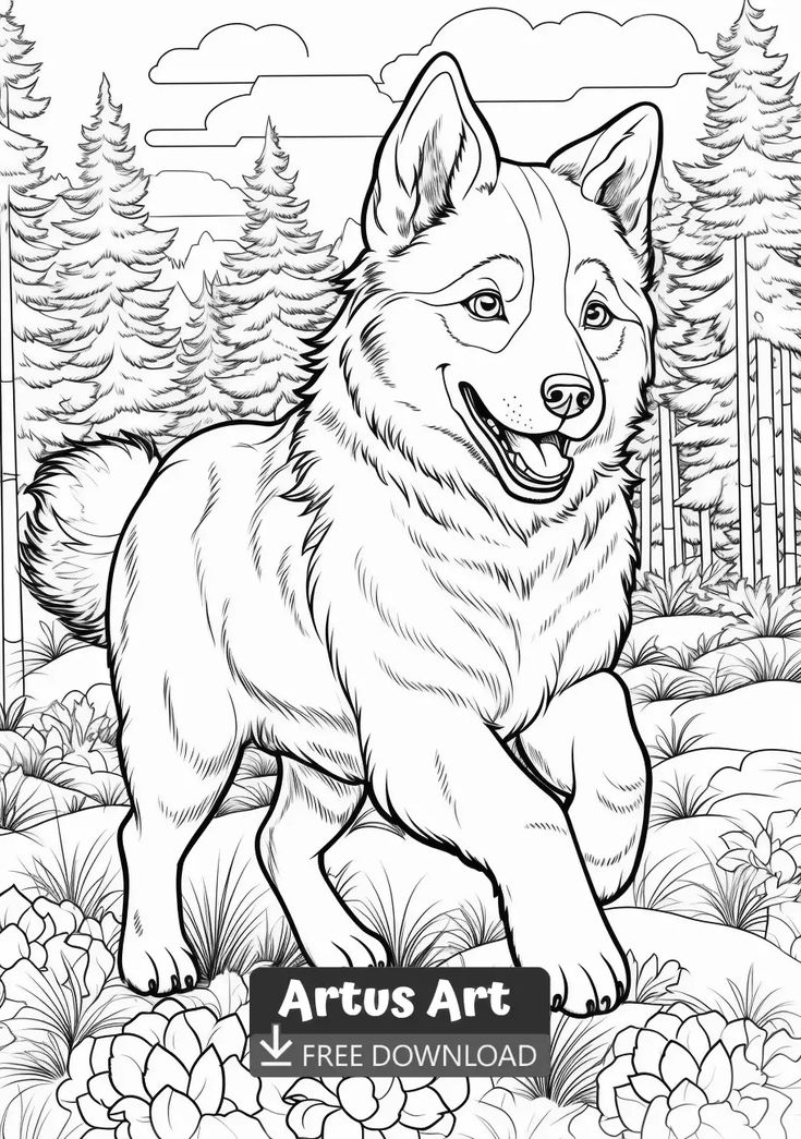 friendly husky coloring pages printable jpg