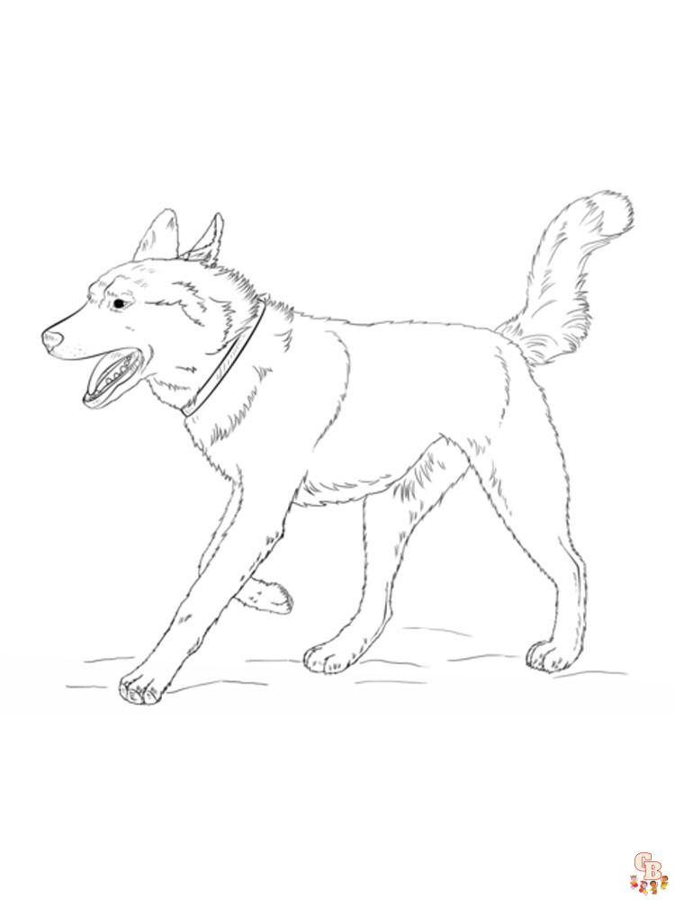 friendly husky coloring pages printable jpg