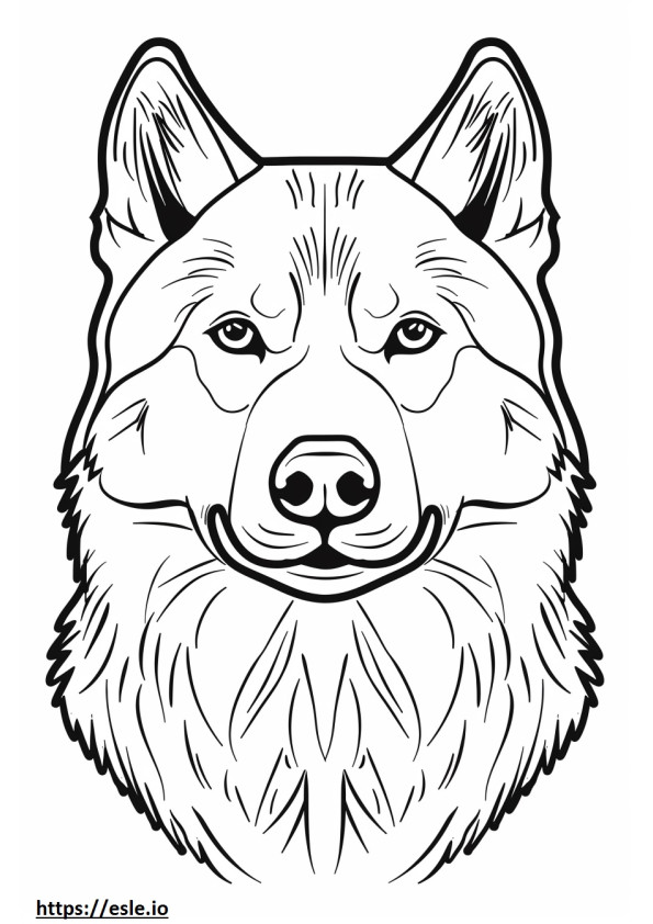 friendly husky coloring pages printable jpg