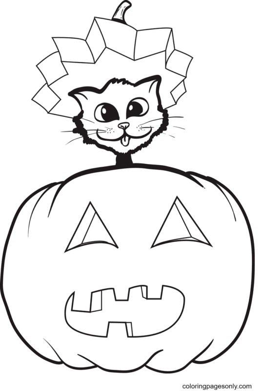 35 Spooky Halloween Cat Coloring Pages Printable 22