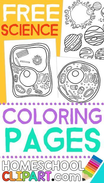 science coloring pages printable jpg