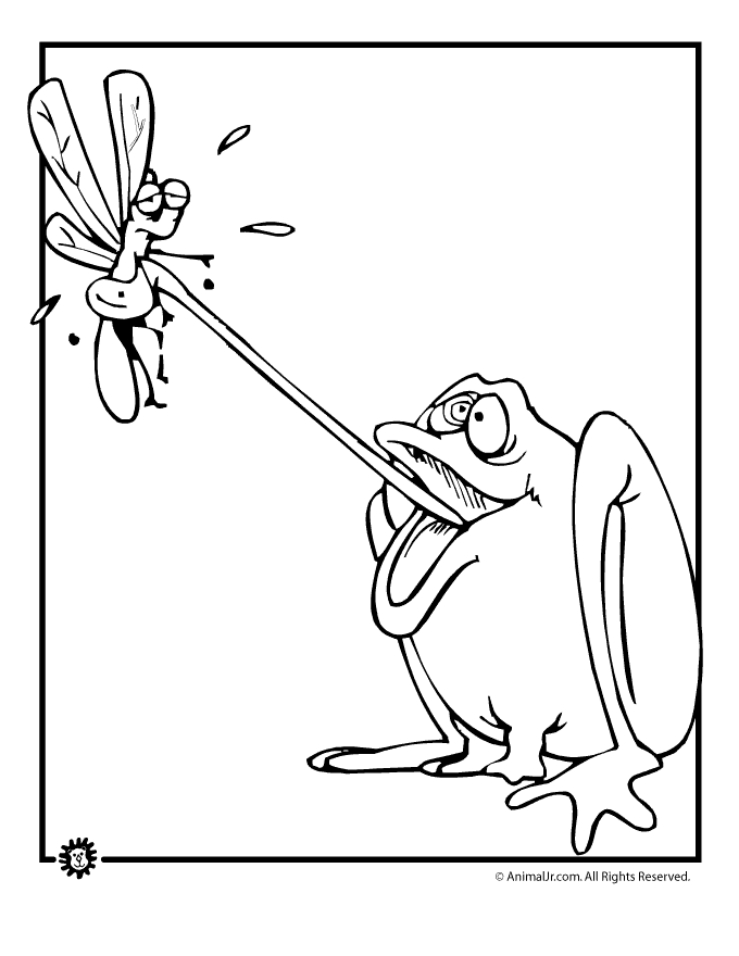 36 Tiny Fly Coloring Page Printable 10