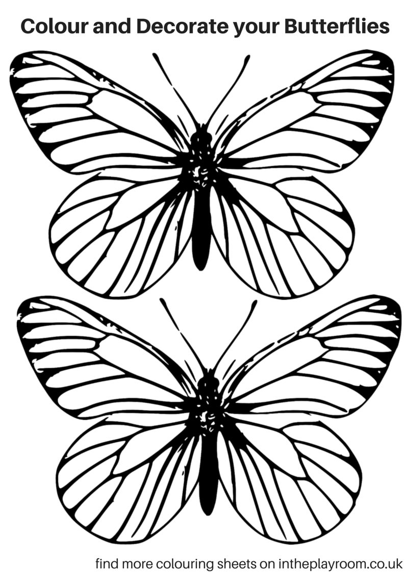 36 Tiny Fly Coloring Page Printable 12