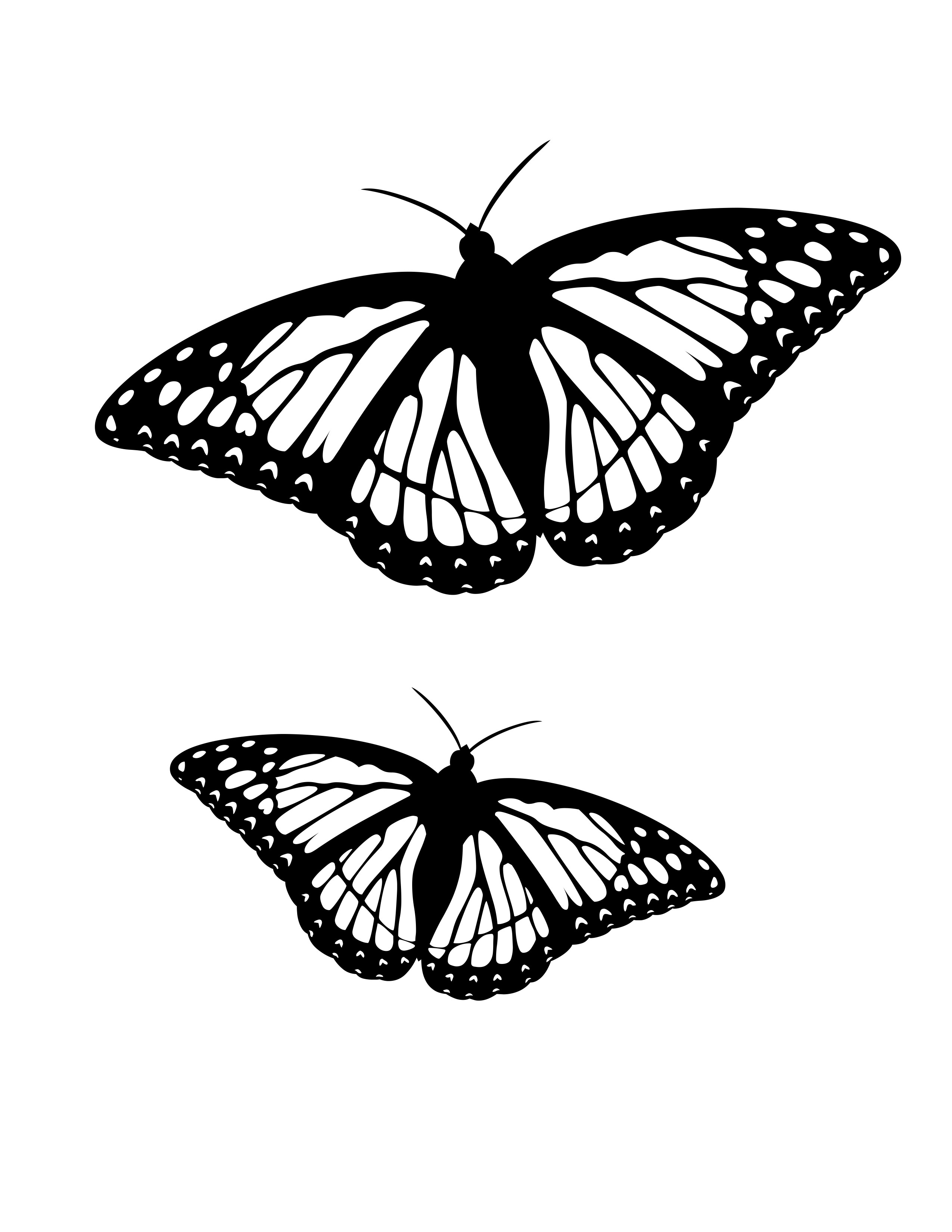 tiny fly coloring page printable jpg