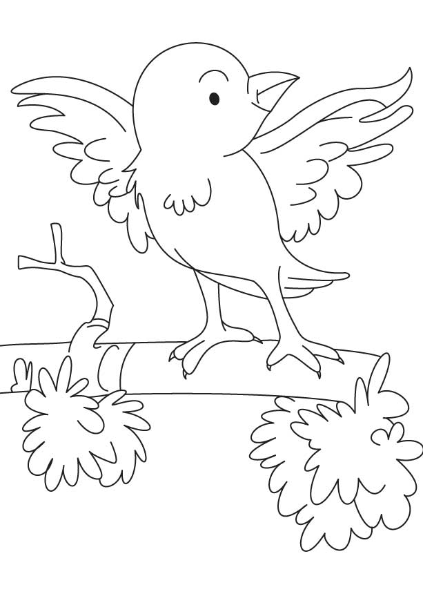 36 Tiny Fly Coloring Page Printable 19