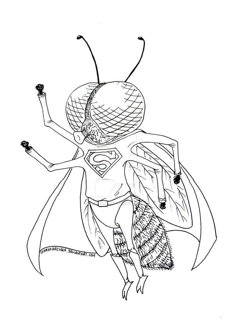 36 Tiny Fly Coloring Page Printable 21