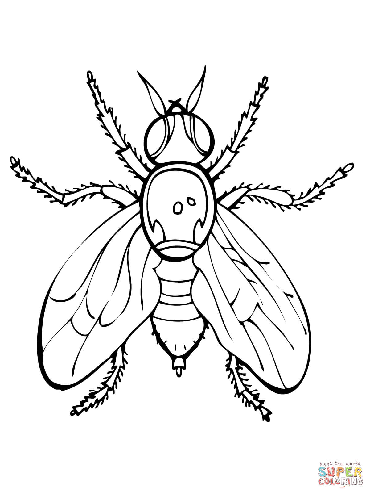 36 Tiny Fly Coloring Page Printable 25