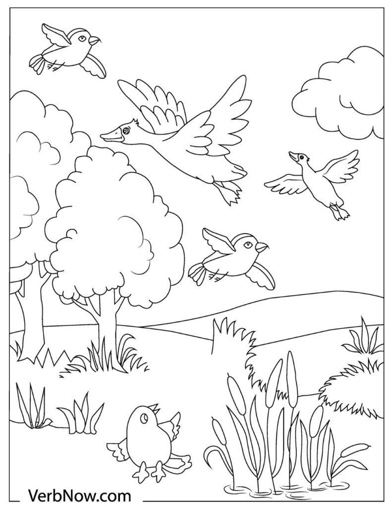 36 Tiny Fly Coloring Page Printable 32