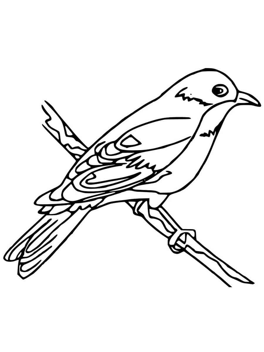 37 Cute Bluebird Coloring Pages Printable 33