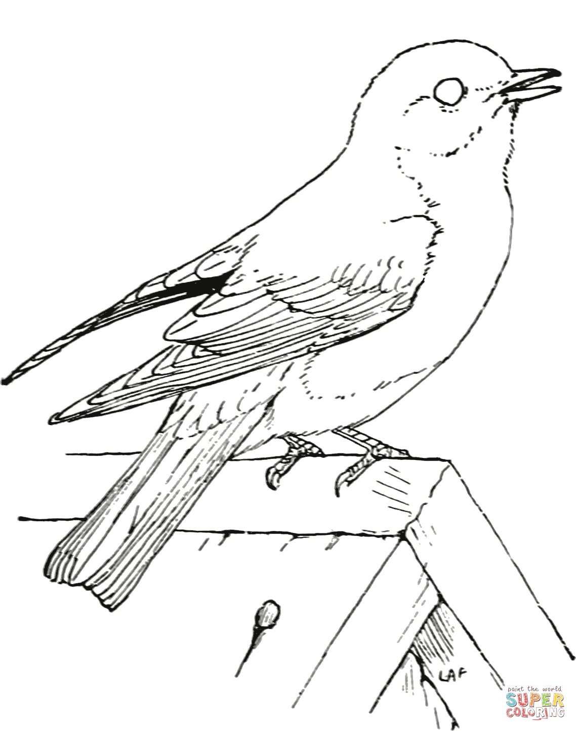 cute bluebird coloring pages printable jpg