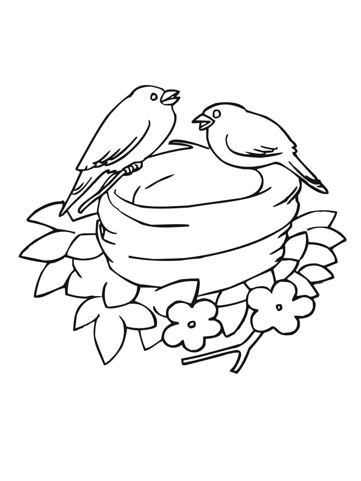 cute bluebird coloring pages printable jpg