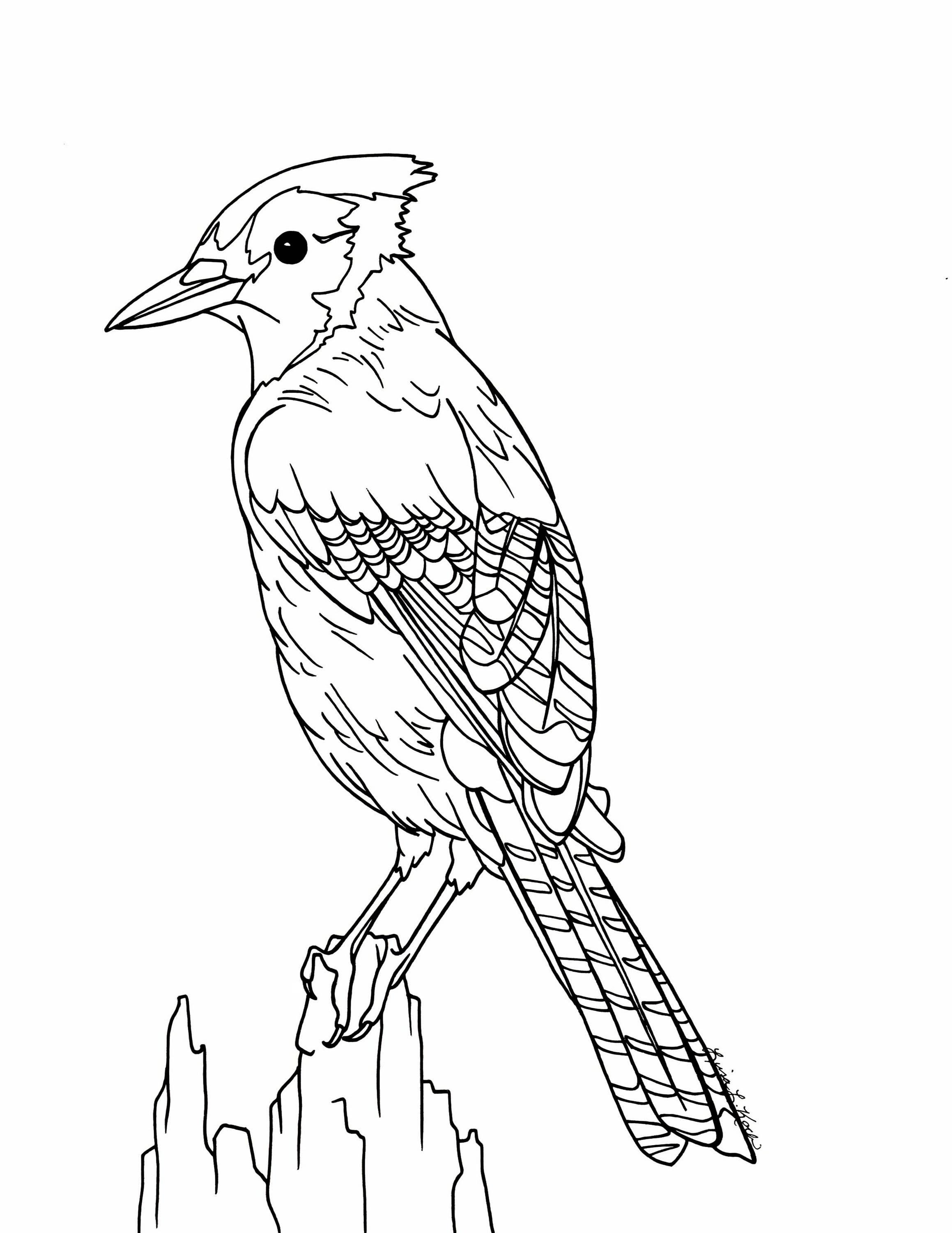 37 Cute Bluebird Coloring Pages Printable 9