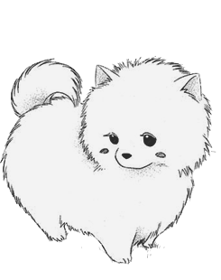 cute pomeranian coloring pages printable jpg