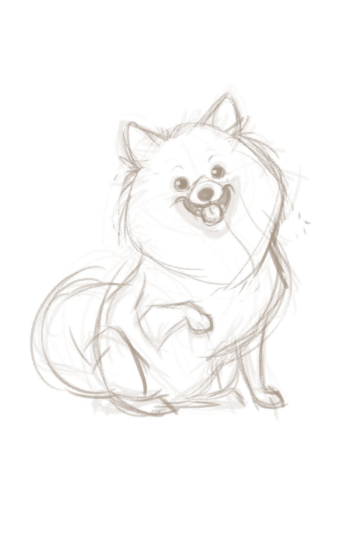 cute pomeranian coloring pages printable jpg