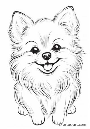 37 Cute Pomeranian Coloring Pages Printable 24