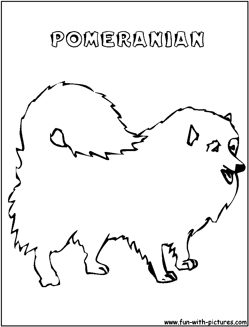 37 Cute Pomeranian Coloring Pages Printable 25