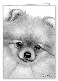 cute pomeranian coloring pages printable jpg