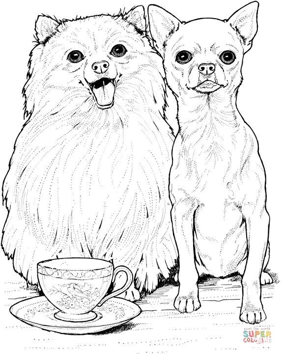 37 Cute Pomeranian Coloring Pages Printable 29