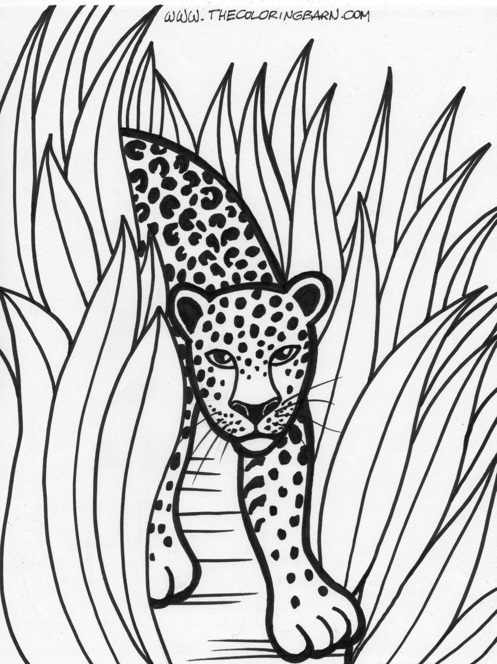 whimsical forest animal coloring pages printable jpg