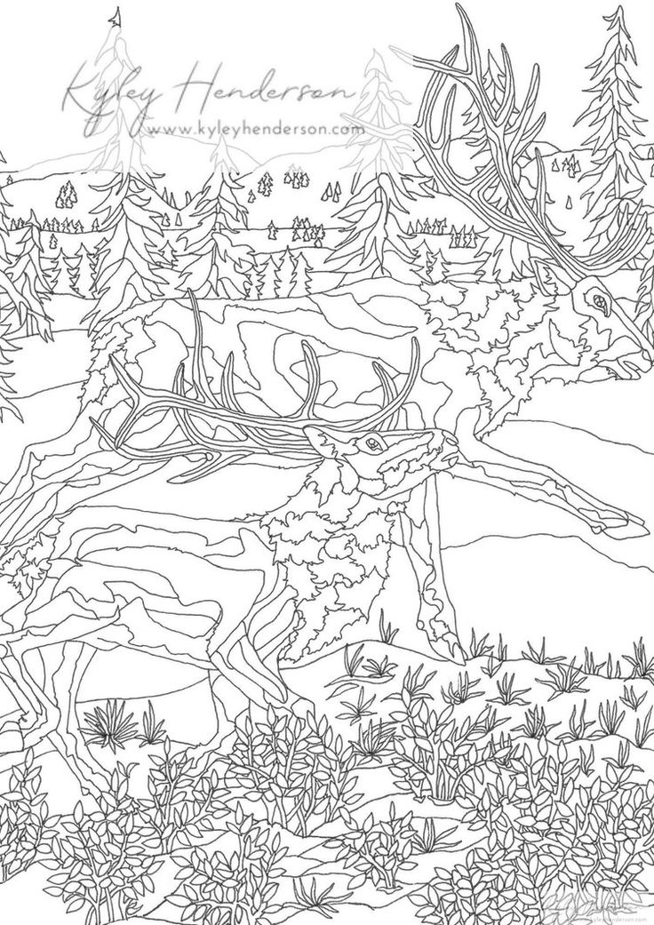 whimsical forest animal coloring pages printable jpg