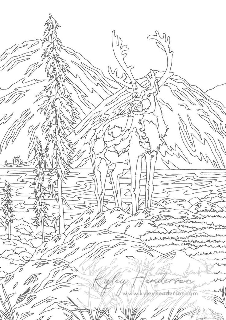 37 Whimsical Forest Animal Coloring Pages Printable 22