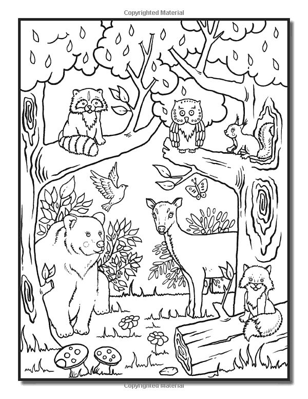 37 Whimsical Forest Animal Coloring Pages Printable 29