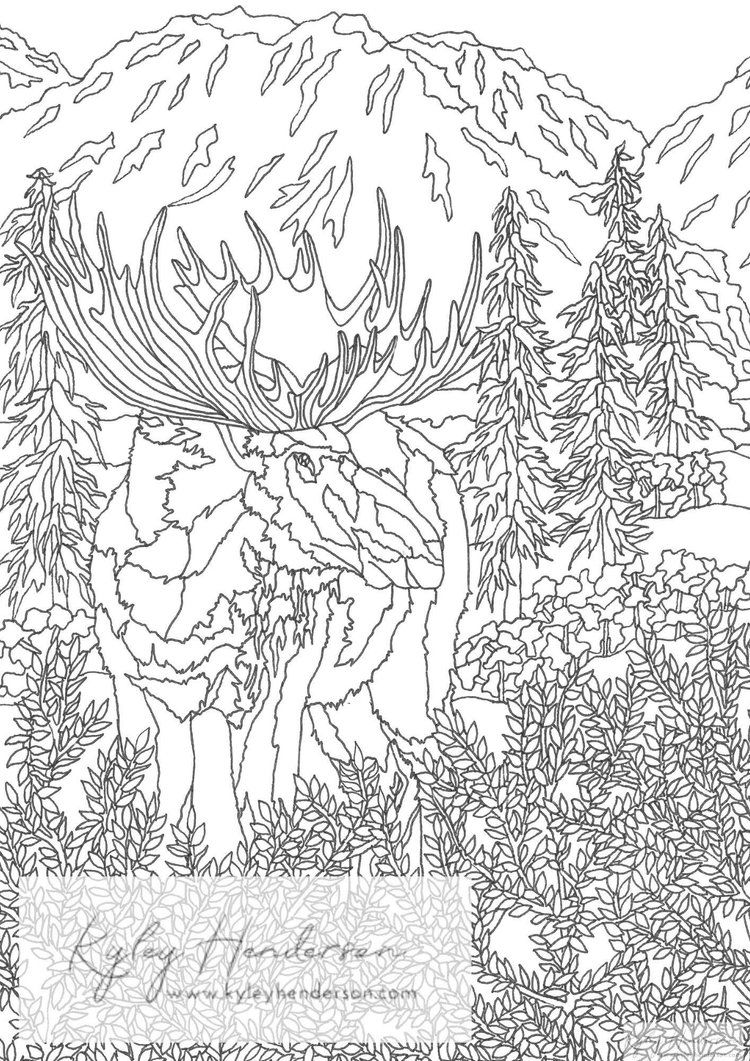 37 Whimsical Forest Animal Coloring Pages Printable 30