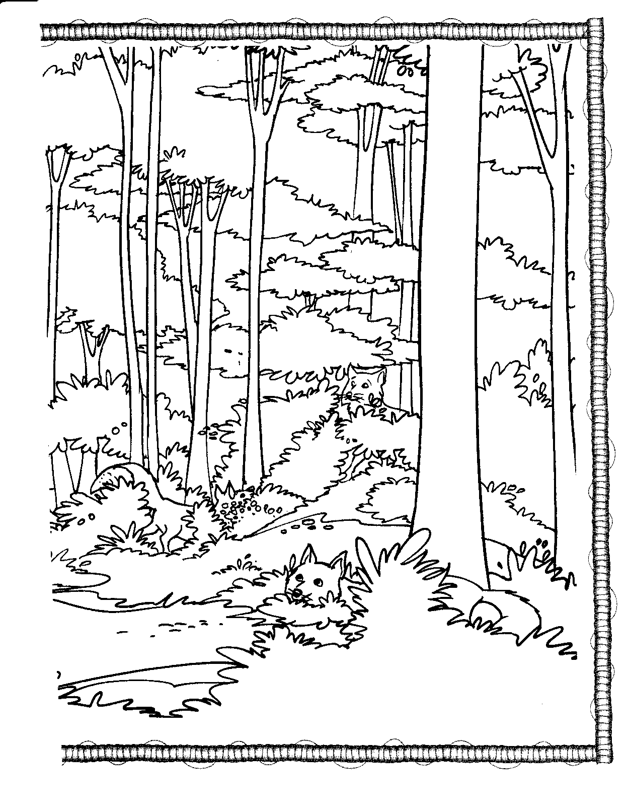 37 Whimsical Forest Animal Coloring Pages Printable 31